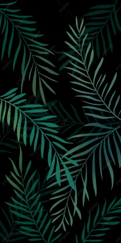 Тропические Листья Обои на телефон для iPhone