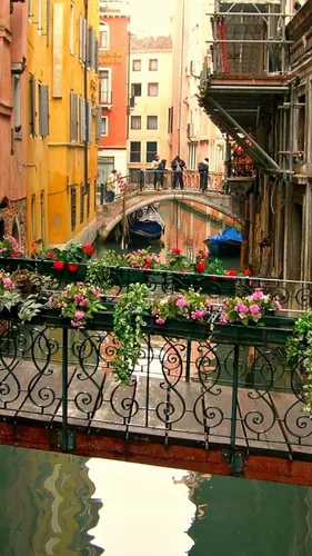 Италия Обои на телефон балкон с цветами и растениями