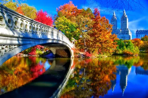 Нью Йорк Обои на телефон мост через реку с деревьями и зданиями на заднем плане