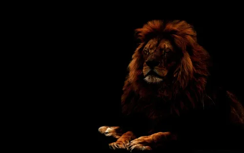 Король Лев Обои на телефон лев сидит