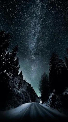 Ночь Обои на телефон дорога с деревьями по бокам и звездами в небе