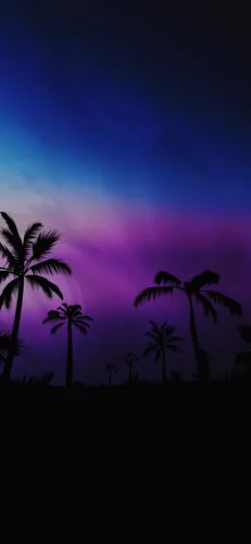 Ночь Обои на телефон пальмы и фиолетовое небо