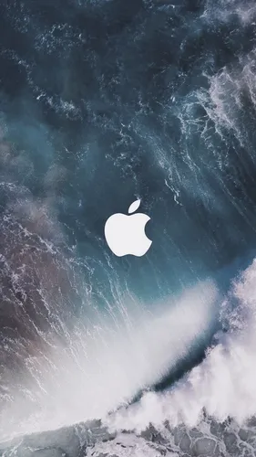Apple Обои на телефон акула плавает в океане