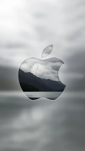 Apple Обои на телефон черно-белое изображение акулы