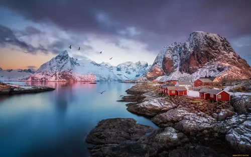 Норвегия Обои на телефон дом на скалистом берегу у водоема с горами на заднем плане