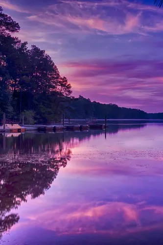 Нежно Фиолетовые Обои на телефон водоем с деревьями вокруг него