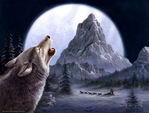 С Волком Обои на телефон волк смотрит на человека в снегу