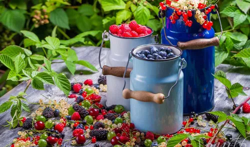 Ягоды Обои на телефон пара синих и красных горшков с ягодами и синяя ваза с красными цветами