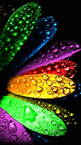 Красивые Фотки Обои на телефон группа разноцветных печенья