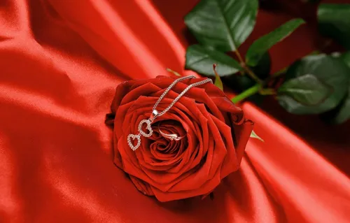 Драгоценности Обои на телефон красная роза с белым центром