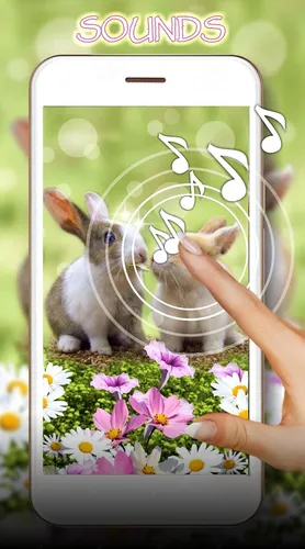 Зайчики Обои на телефон рука, держащая кролика