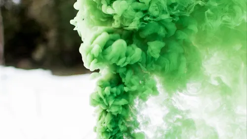 Цветной Дым Обои на телефон зеленое растение со снегом