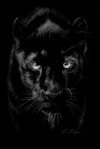 Пантера Обои на телефон черно-белая фотография кошки