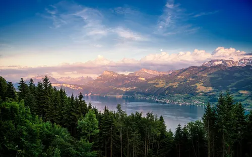 Швейцария Обои на телефон озеро, окруженное деревьями и горами