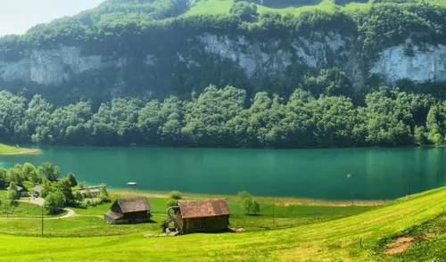 Швейцария Обои на телефон озеро с несколькими зданиями и деревьями вокруг него