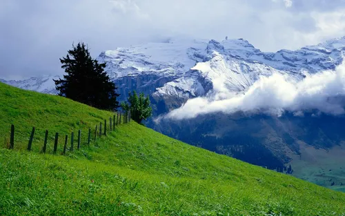 Швейцария Обои на телефон забор на травянистом холме с горой на заднем плане