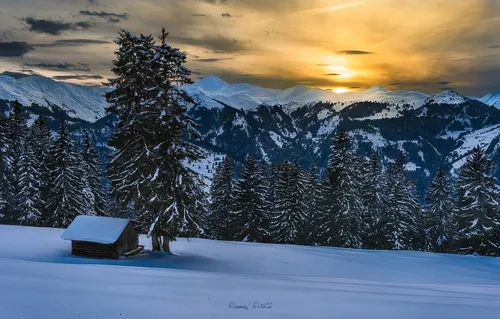 Швейцария Обои на телефон снежный пейзаж с деревьями и горами