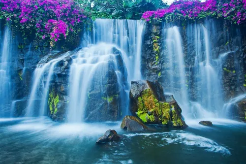 Интерактивные Обои на телефон водопад со скалами и растениями