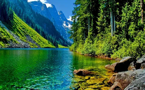 Красивые В Хорошем Качестве Обои на телефон водоем, окруженный деревьями и горами