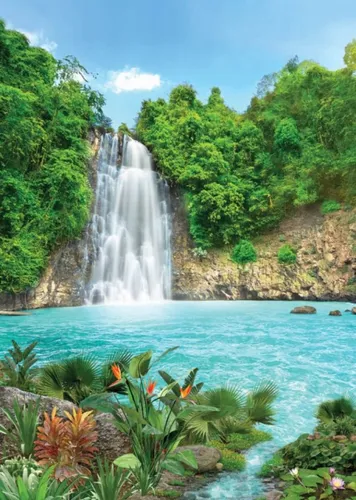Красивые Природа Обои на телефон водопад в бассейне с водой