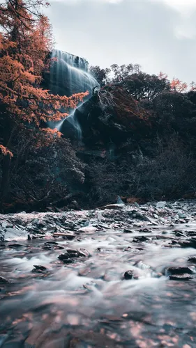 Красивые Природа Обои на телефон водопад с деревьями сбоку