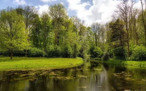 Красивые Природа Обои на телефон река с травой и деревьями вокруг нее