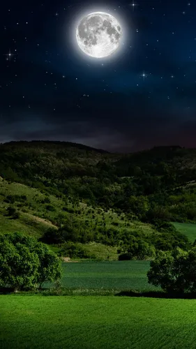 Красивые Природа Обои на телефон зеленое поле с луной в небе