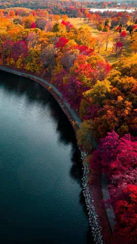 Красивые Природа Обои на телефон река с деревьями вокруг