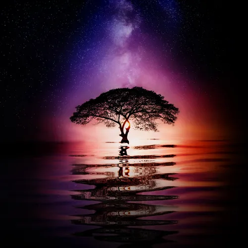 Звездное Небо Hd Обои на телефон дерево в воде