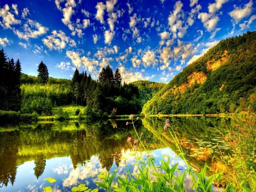 Красивые Картинки озеро, окруженное деревьями и холмами