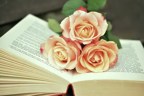 Красивые Картинки пара роз на книге