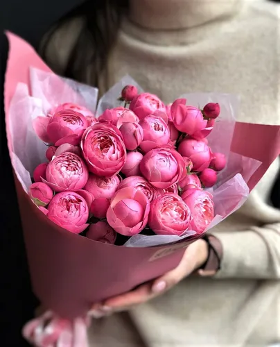 Цветы Картинки человек, держащий букет розовых цветов