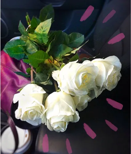 Цветы Картинки букет белых роз