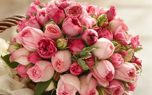 Цветы Картинки букет розовых роз