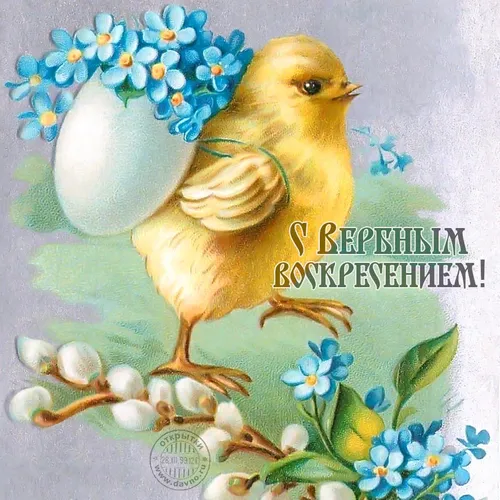 Вербное Воскресенье Картинки птица с цветком на голове