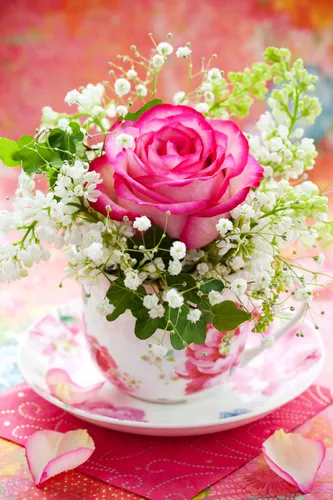 Доброе Утро Красивые Необычные Нежные Картинки розовая роза на тарелке