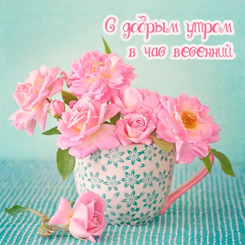 Доброе Утро Красивые Необычные Нежные Картинки ваза с розовыми цветами