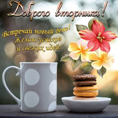 Доброе Утро Красивые Необычные Нежные Картинки кекс с кексом и кекс с цветами