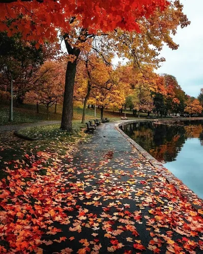 Осень Картинки река с деревьями вокруг