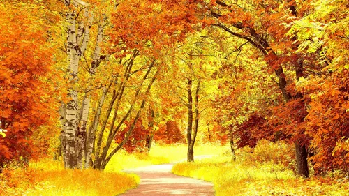 Осень Картинки картинки
