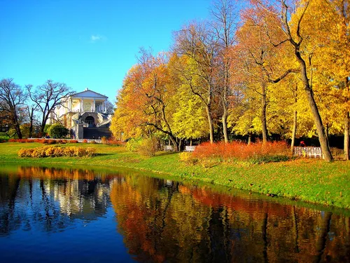 Осень Картинки пруд с травой и деревьями вокруг него