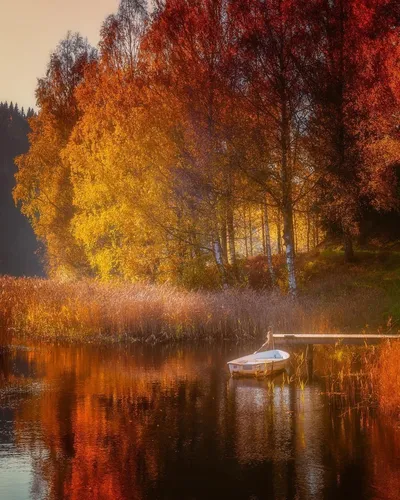 Осень Картинки лодка сидит в озере