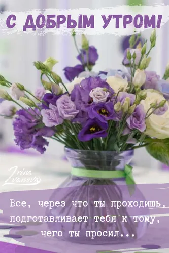 Необычные С Добрым Утром Картинки ваза с фиолетовыми и белыми цветами