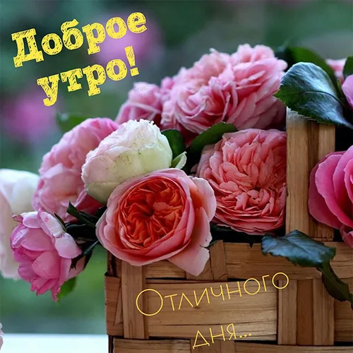 Необычные С Добрым Утром Картинки букет розовых цветов