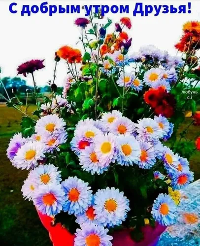 Необычные С Добрым Утром Картинки поле разноцветных цветов