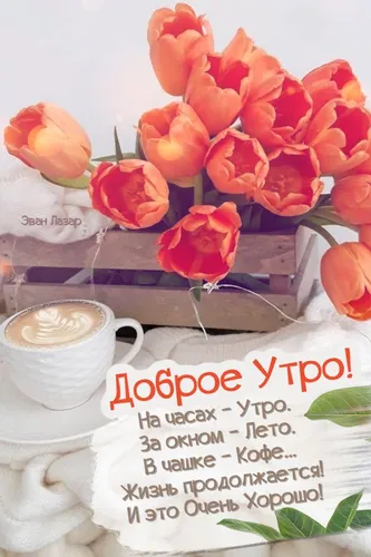 Необычные С Добрым Утром Картинки чашка кофе рядом с кучей красных роз