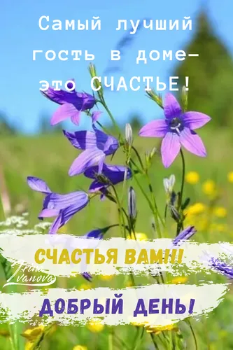Позитивные С Добрым Утром И Хорошего Дня Картинки группа фиолетовых цветов