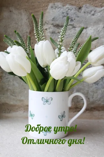 Позитивные С Добрым Утром И Хорошего Дня Картинки белая ваза с белыми цветами