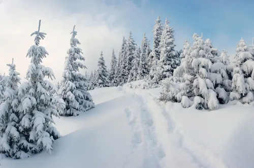 Зима Картинки фото на андроид
