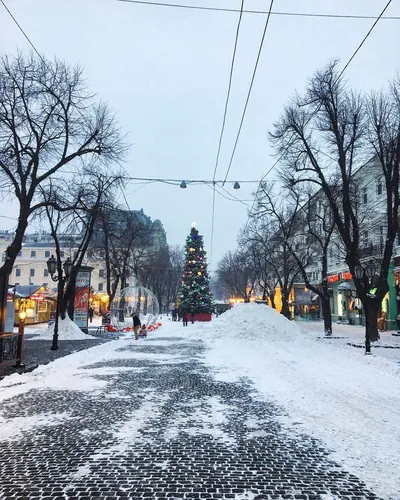 Зима Картинки заснеженная улица с деревьями и зданиями